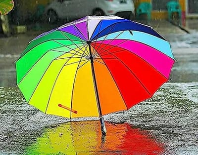 Umbrella Sample (Do not Order)